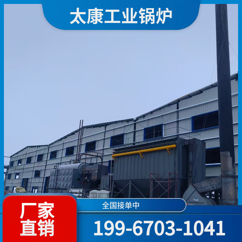 保定生物质蒸汽锅炉