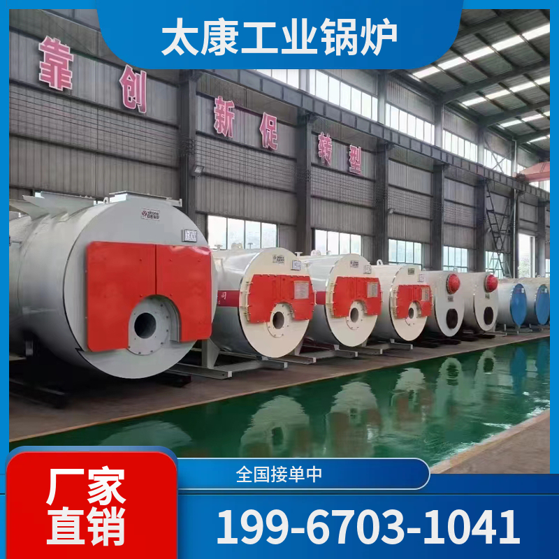 保定沼气锅炉
